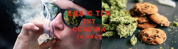 стаф Богданович