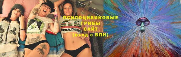 стаф Белоозёрский