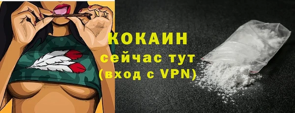 стаф Богданович